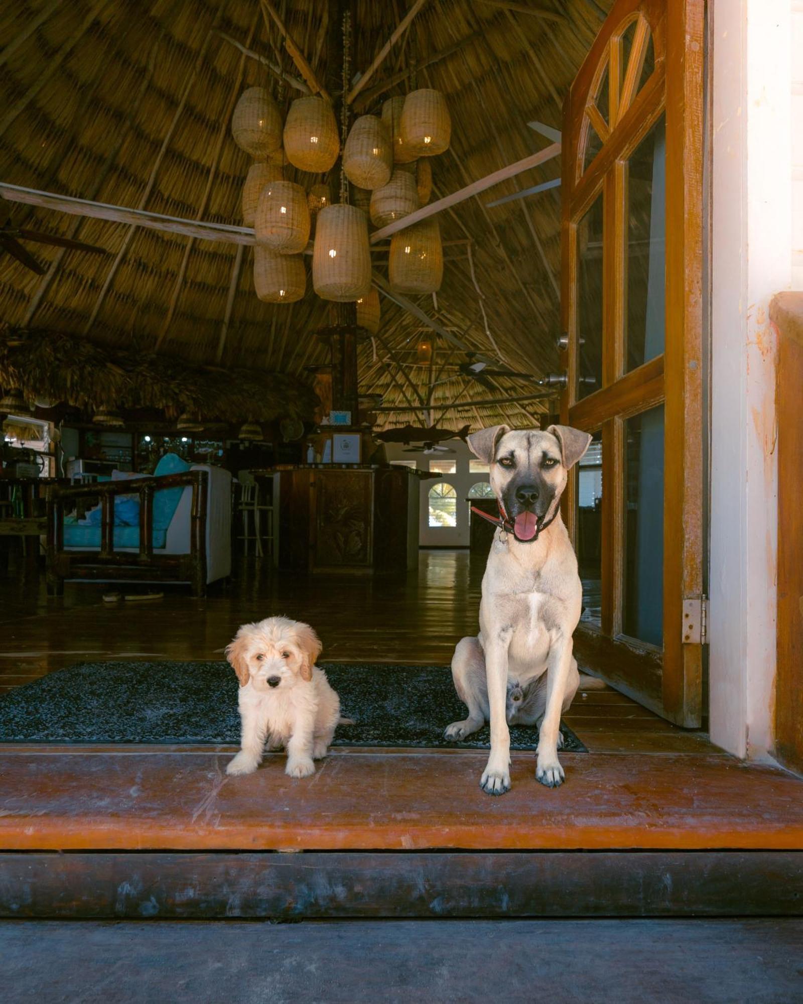 Thatch Caye Resort A Muy'Ono Resort Hopkins Bagian luar foto