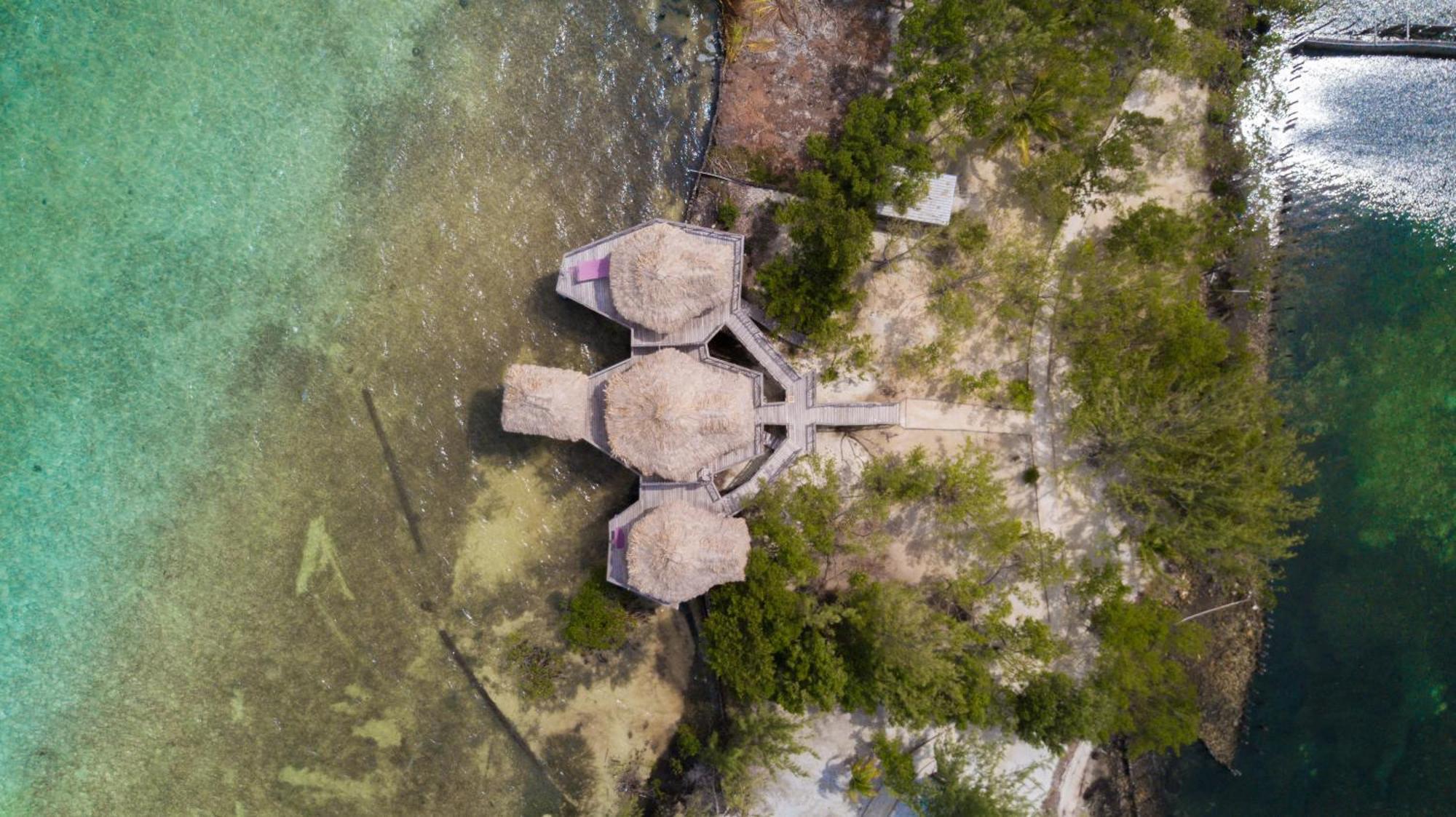 Thatch Caye Resort A Muy'Ono Resort Hopkins Ruang foto