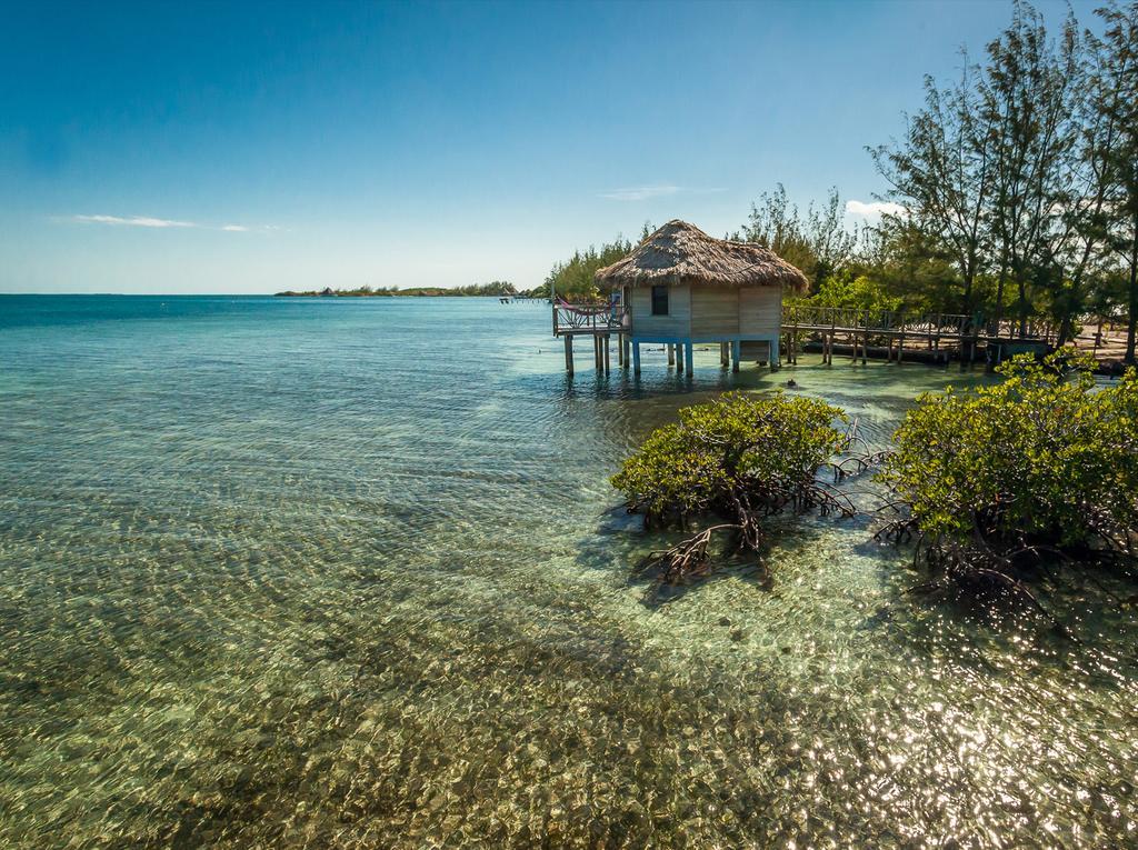 Thatch Caye Resort A Muy'Ono Resort Hopkins Bagian luar foto